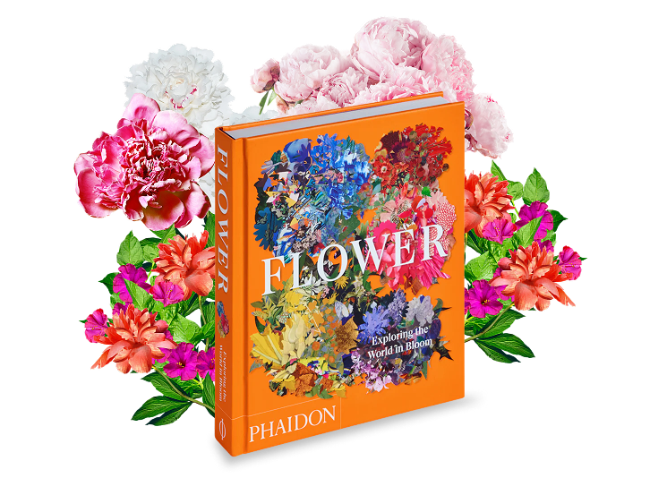 Flower Image e1778566159927